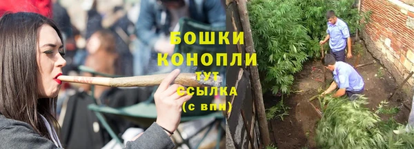 мдпв Снежногорск
