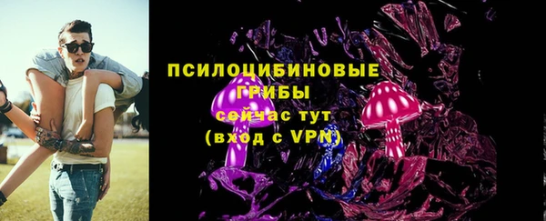 PSILOCYBIN Алексеевка